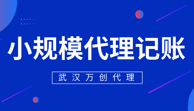 <b>小规模纳税人代账</b>