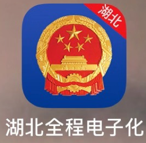 湖北全程电子化