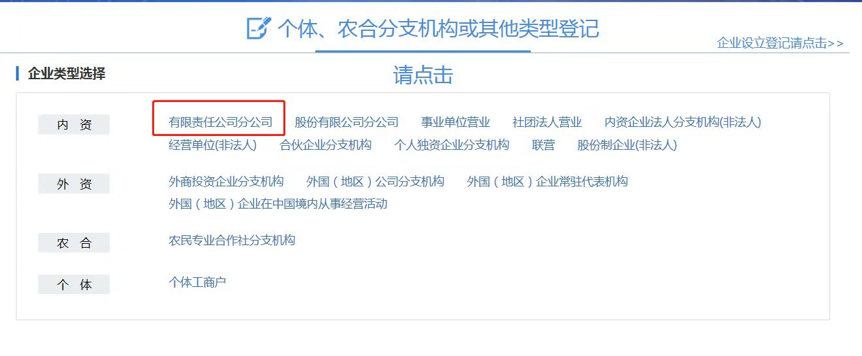 选择有限责任公司分公司